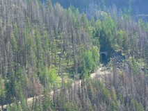 Myra Canyon